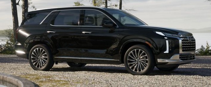 2024 Hyundai Palisade - Abyss Black Pearl