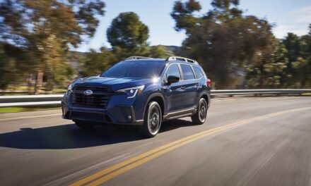 2024 Subaru Ascent Color Options